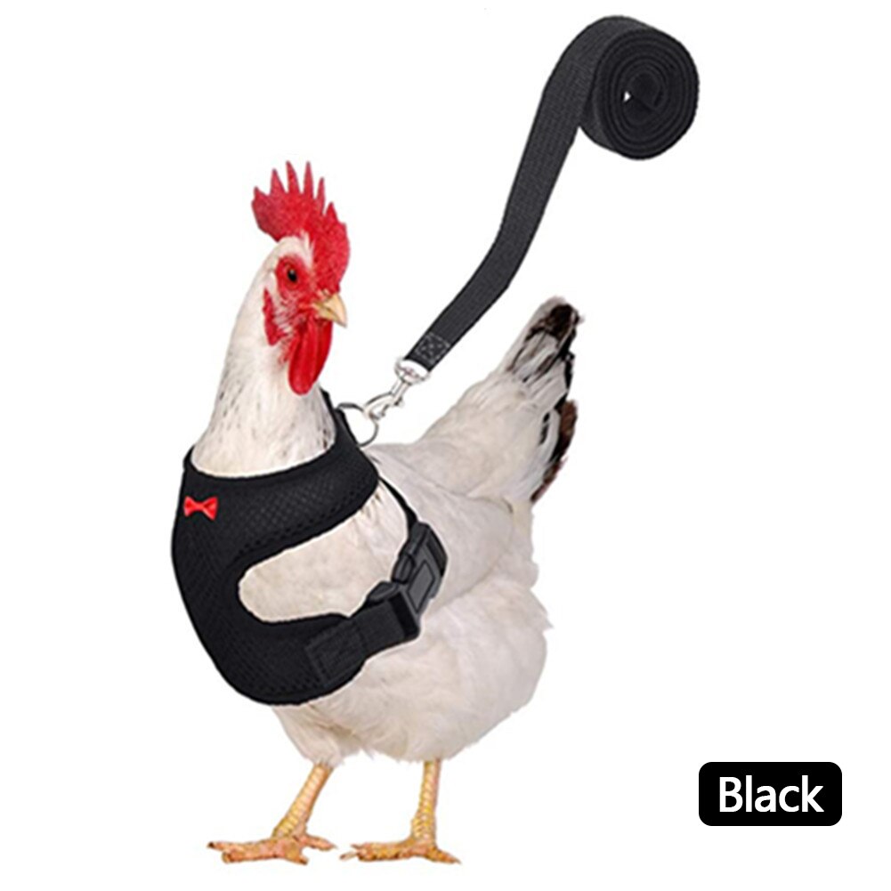 Breathable Mesh Chicken Duck Vest Leashes Poultry Hen Pet Harness With Matching Training for Walking Duck Goose Hen Rooster: Black-XS