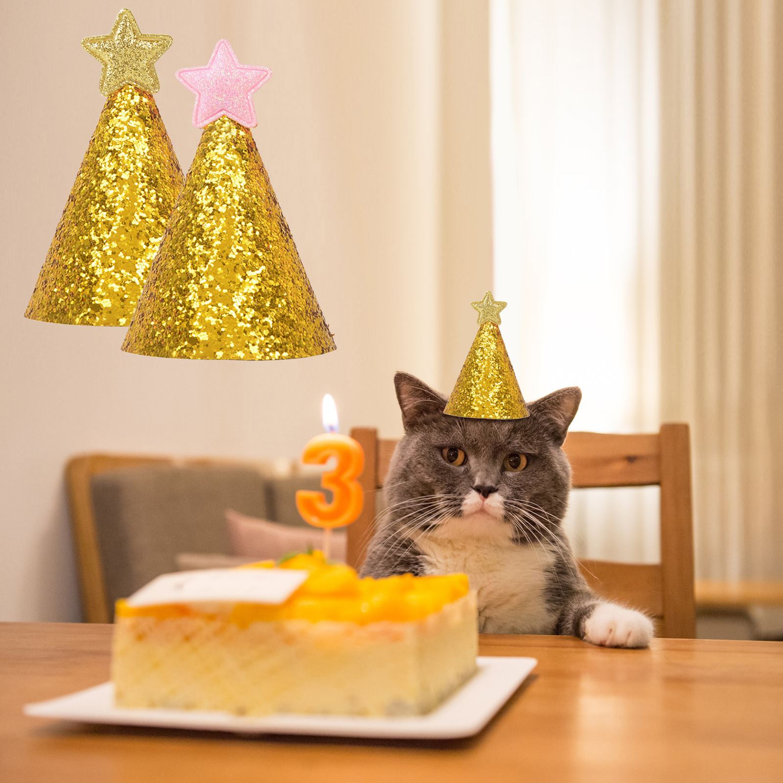 2 uds mascota cumpleaños sombrerería de gorras sombrero traje de de sombreros brillo lentejuelas sombreros con estrellas ropa para mascotas Ropa Accesorios