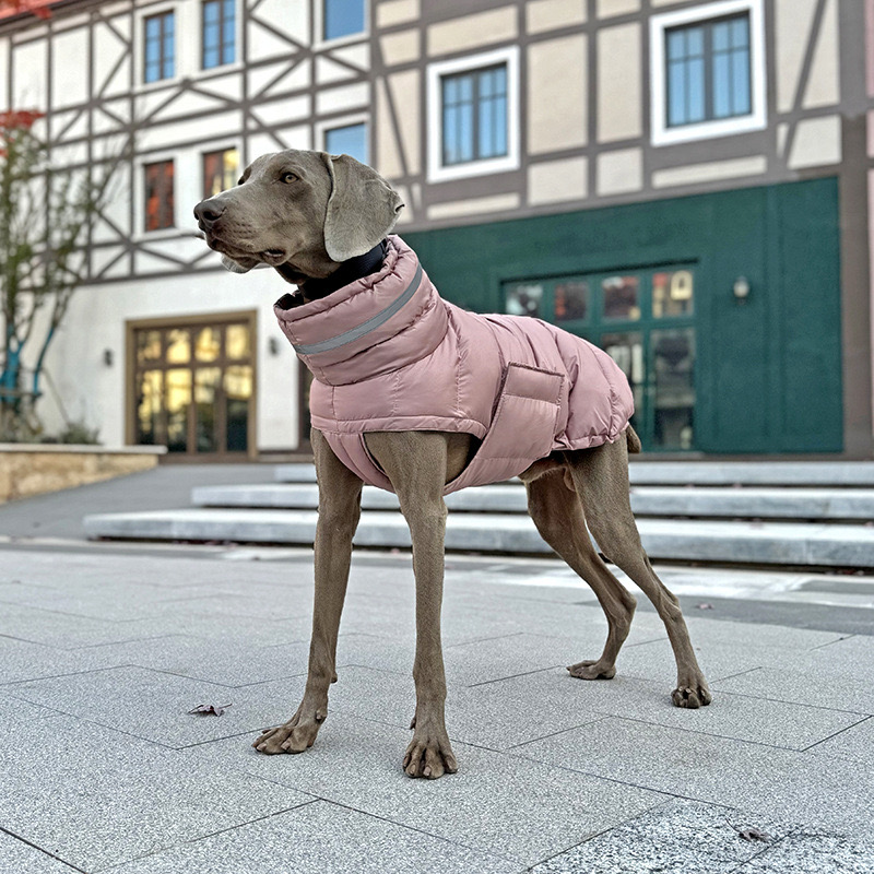 Haustier Hund Winter Warme Mantel Kleidung Daunenjacke Wasserdichte Fleece Weste Verdicken Mantel Kleidung für Hunde Welpen Katzen Haustier kostüm