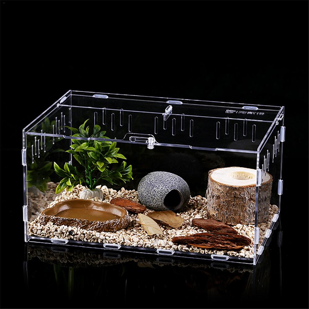 Avlsboks krypdyr fôringsboks akryl terrarium edderkopp til klatring kjæledyr terrarium slange edderkopp øgle skorpion tusenbein