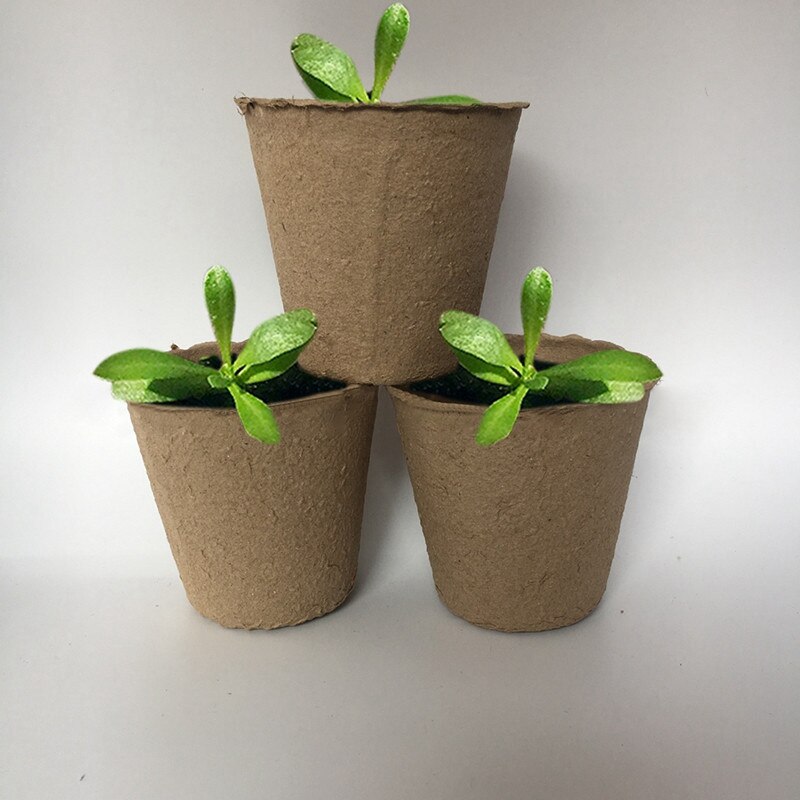 100Pcs Biodegradable Pulp Pots Plants Seedling Raising Pot Vegetable Fruit Nursery Tray Pot Cup Garden Supplies