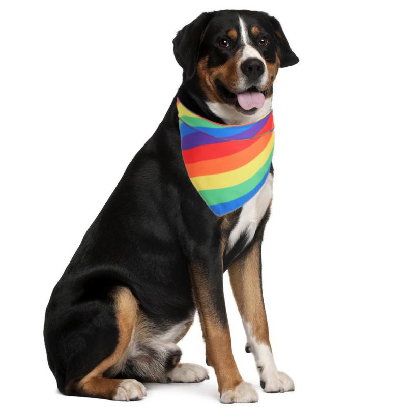 Pet Dog Cat Bandana Neckerchief Neck Polyester Scarf Saliva Towel Pet Supplies Rainbow Handkerchief Pet Triangle Towel