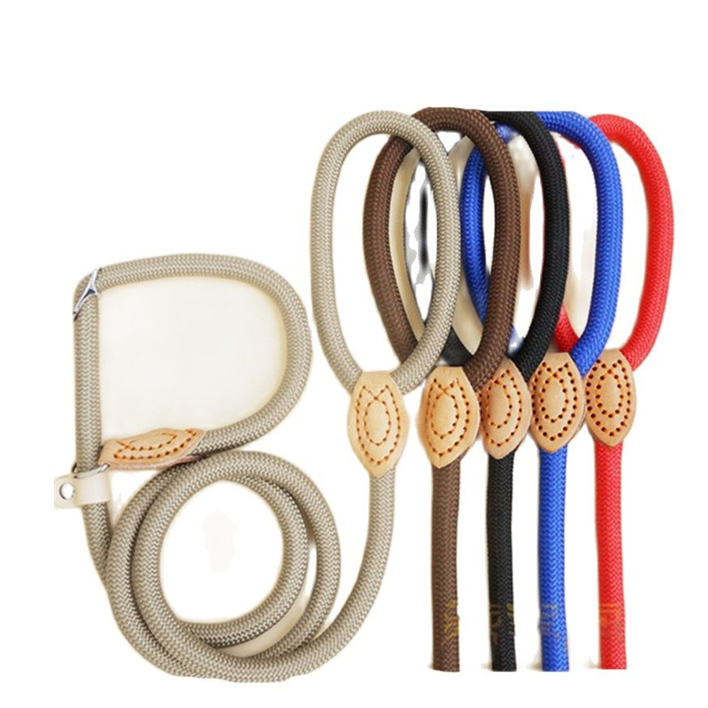 Laisse en Nylon pour chien 8/14mm, corde tressée, robuste, réglable, accessoire d'entraînement pour animaux de compagnie, pour petits et grands chiots