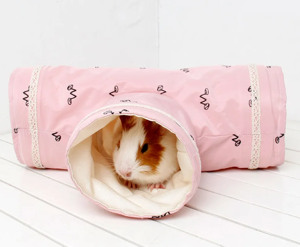 Cavia Tunnel Buis Chinchilla Egel Nederlandse Ratten Hamsters Kooi Accessoires Leveranties Baardagaam Klein Dier Huisdier Bed Speelgoed: SCARLET