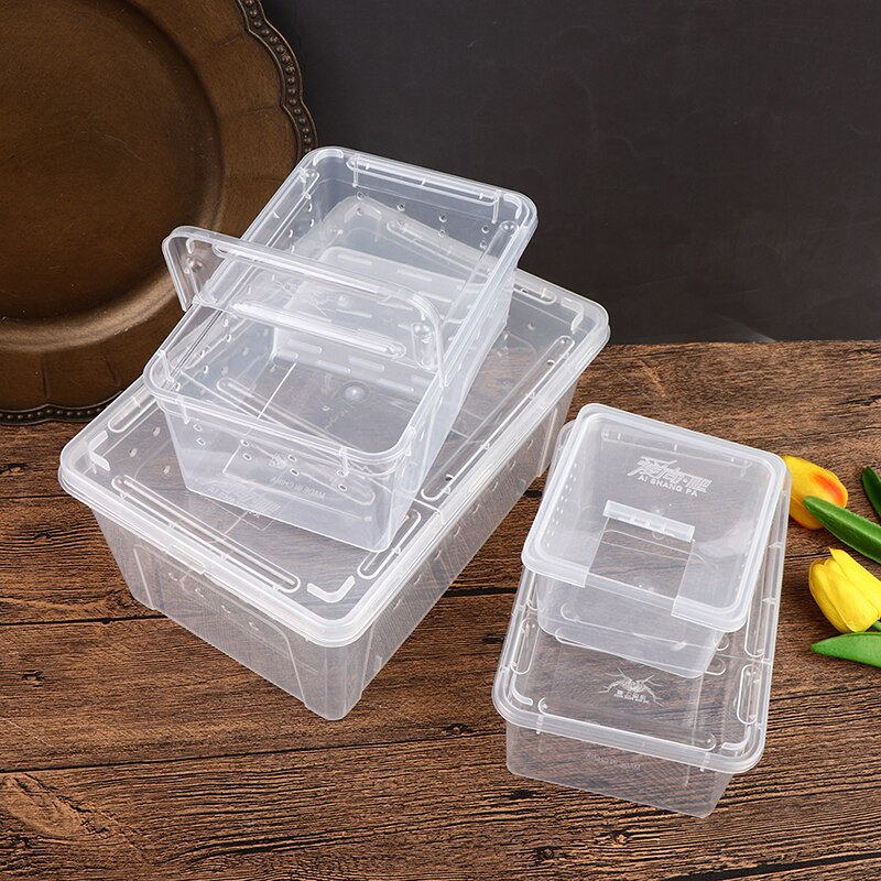 Reptile Tank Insect Spiders Tortoise Lizard Acrylic Transparent Breeding Box Vivarium Lid Reptile Pet Product Terrarium