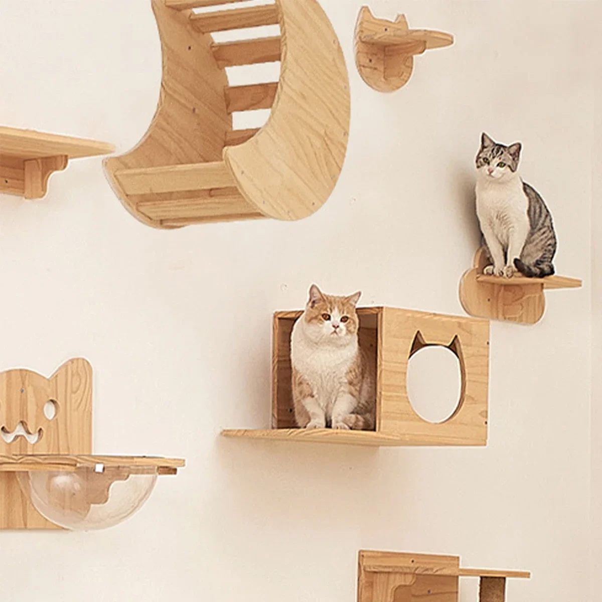 Estantes para gatos montados en la pared, estante de madera para escalar con apariencia de gato, muebles de árbol trepador de pared para gatitos, escalera de cuatro escalones, hamaca interior para gatos