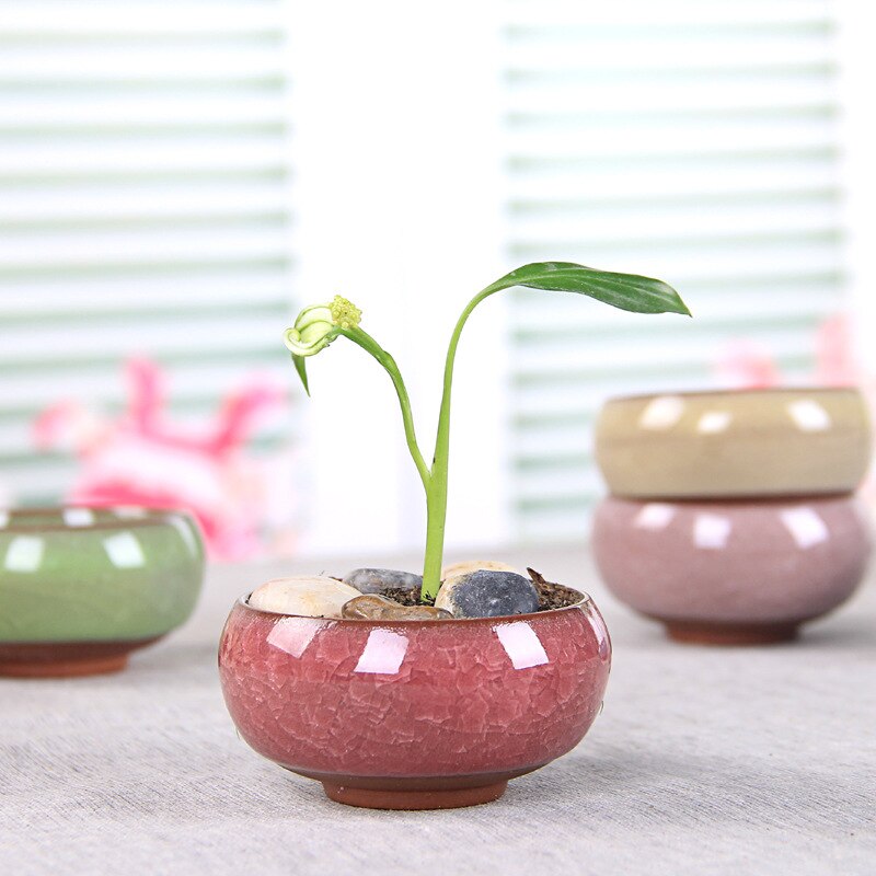 8 Pieces of Multi-meat Ceramic Flower Pot Planters for Succulents Crack Ceramic Table Decoration Flower Pot Crafts Bottom Hole