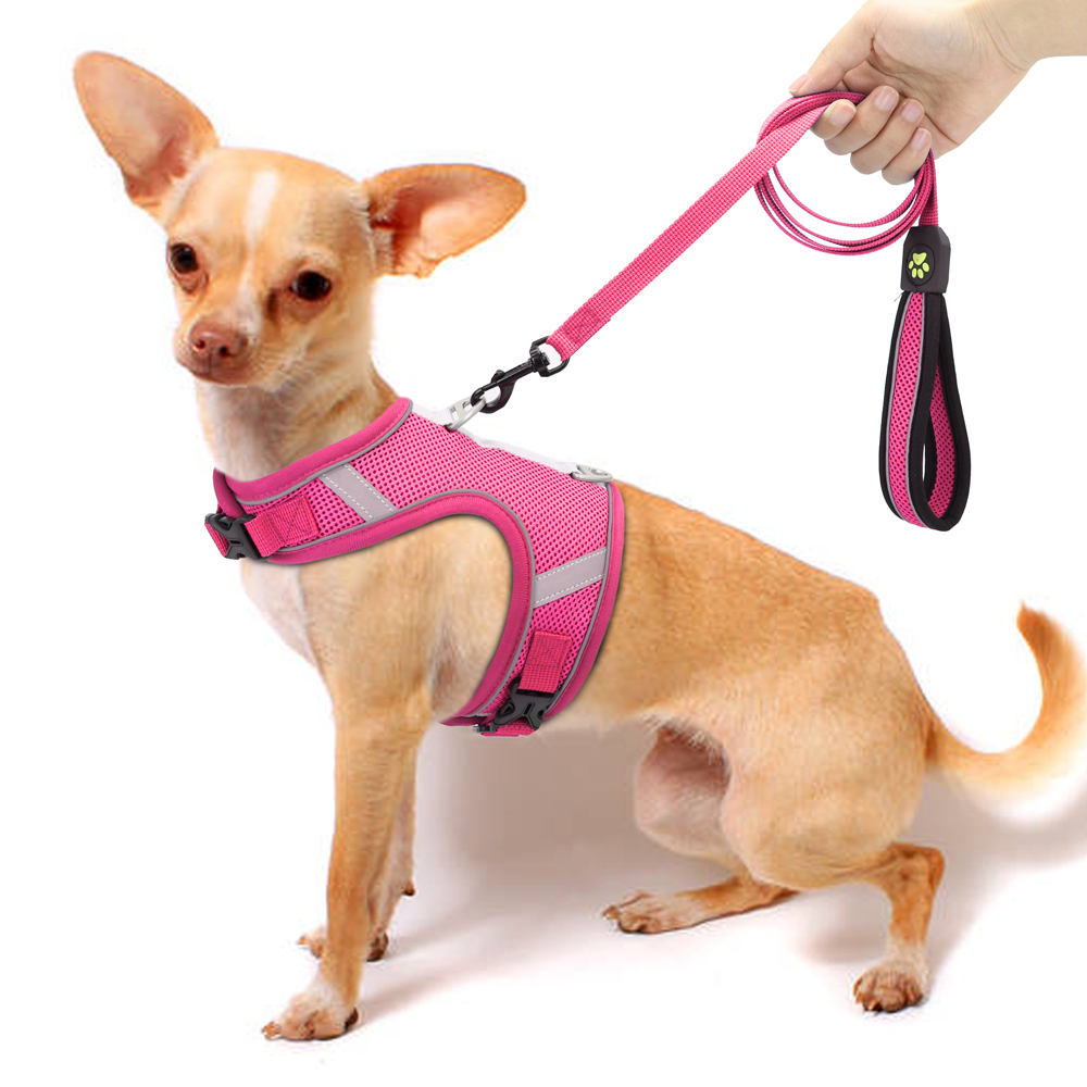 Mesh Cat Harness Reflective Dogs Cat Puppy Harnesses Leash Breathable Samll Dogs Harness Vest for Chihuahua Yorkshire Walking