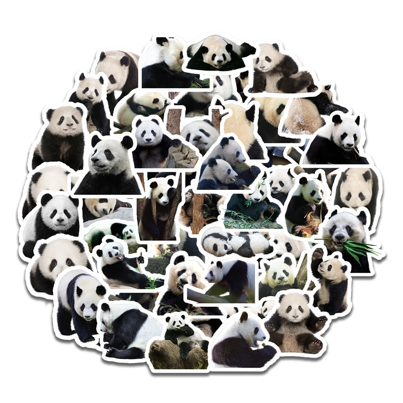50 Stuks Leuke Panda Stickers Voor Waterdichte Sticker Laptop Motorfiets Bagage Snowboard Koelkast Telefoon Auto Sticker
