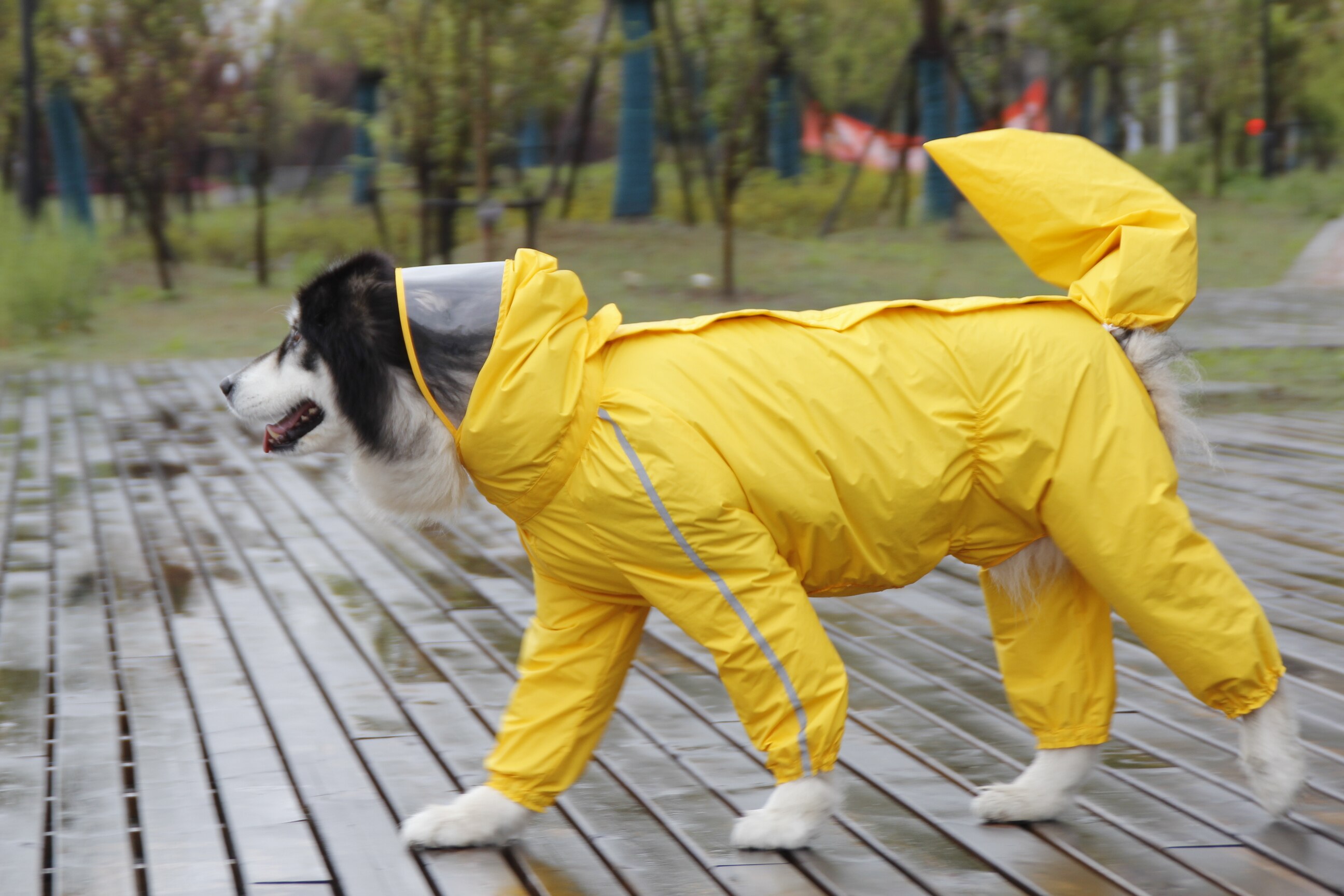 Large Dog Raincoat Waterproof Polyester Safety Reflective Stripe Rain Jacket for Golden Retriever Labrador Husky 8XL-12XL: Yellow / 8XL Male