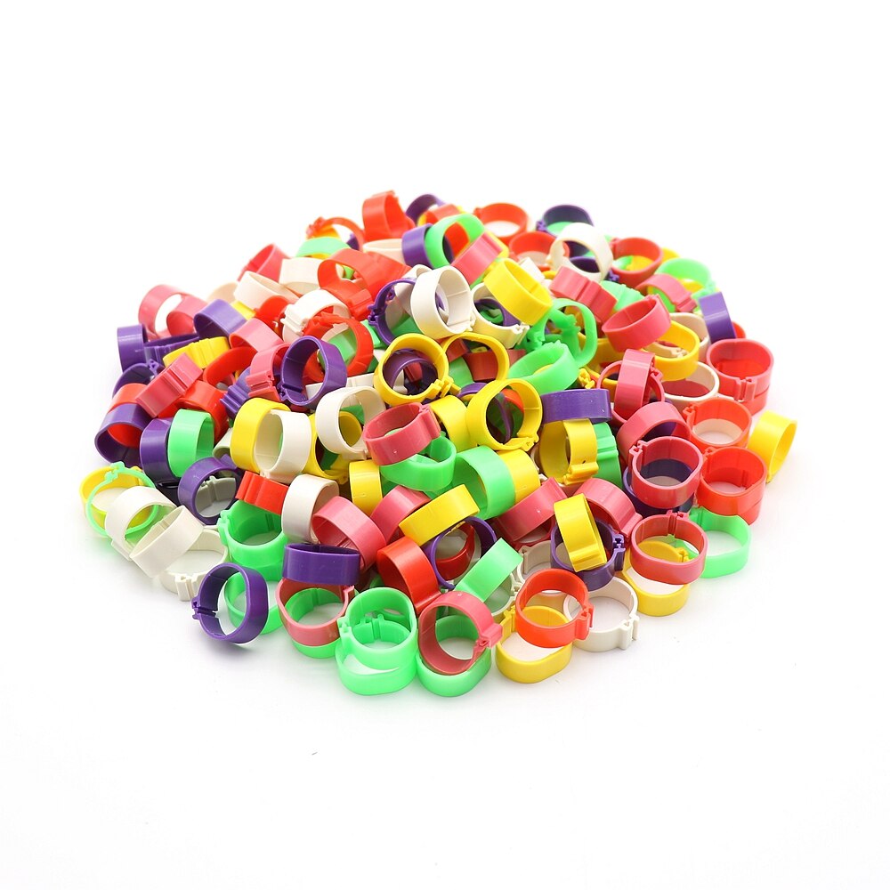 300Pcs 16Mm Pluimvee Voet Ring Kip Eend Gans Vogels Voeden Levert 6 Kleuren