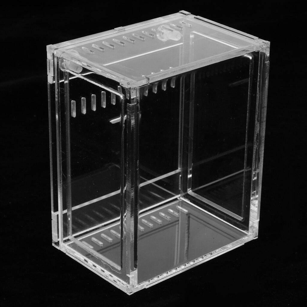 Reptile Terrarium Amphibian Habitat for Mini Pet Houses Acrylic Box Clear