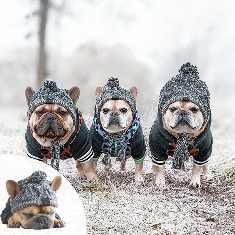 Superpet vinter varm hund hatte vindtæt strikning fransk bulldog hat til hunde chihuahua hat fluffy hvalp tilbehør kæledyr hat – Grandado