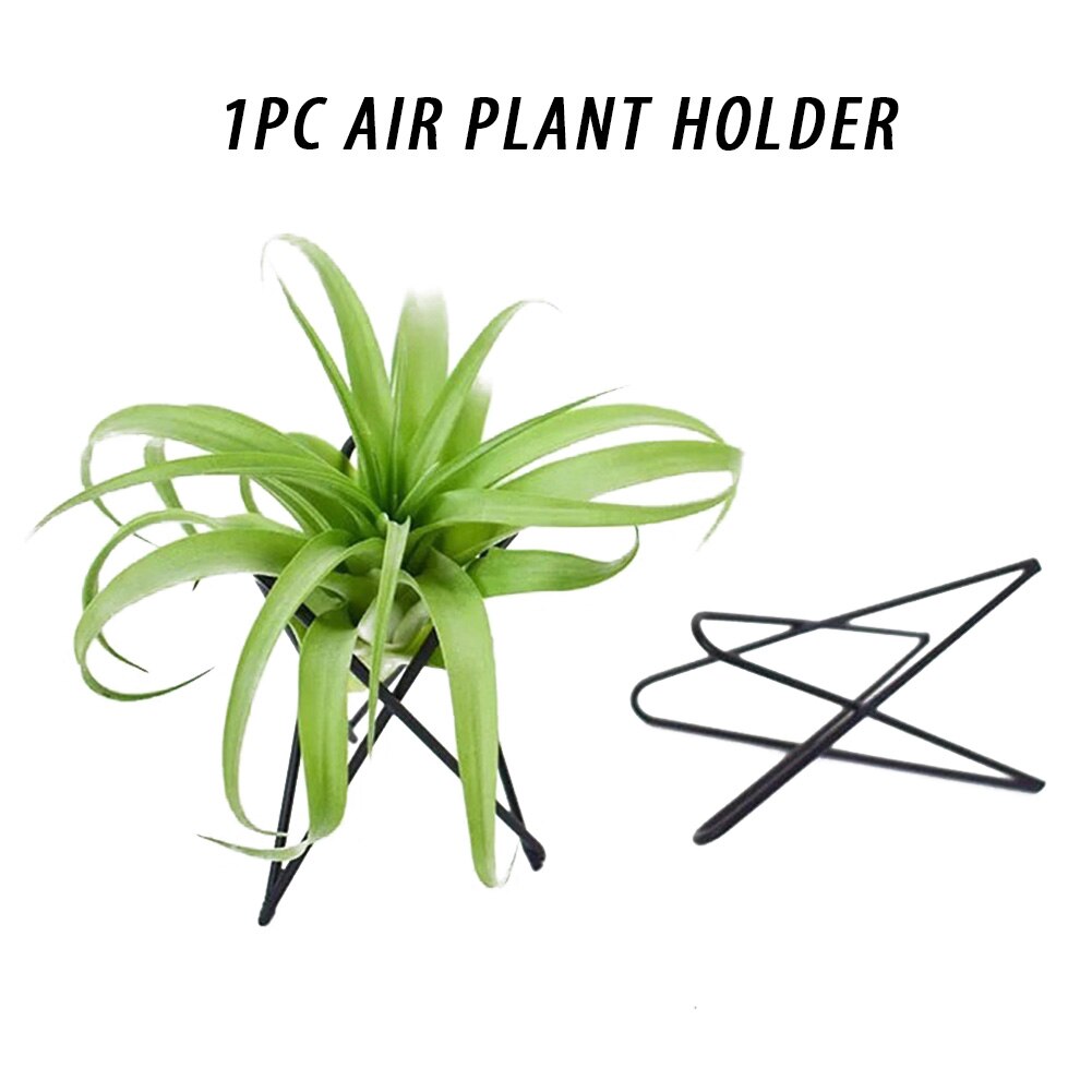 Blomsterpotter stå innendørs utendørs utstilling tillandsia bord jern kunst nordisk stil hagepynt luft planteholder kontor