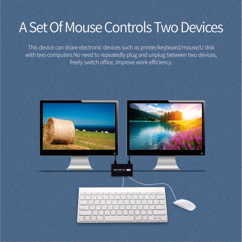 Usb 2.0 Sharing Switch Selector 4 Port 2 Computer Peripherie Switcher Adapter Hub Für Pc, Drucker, Scanner, maus, Tastatur