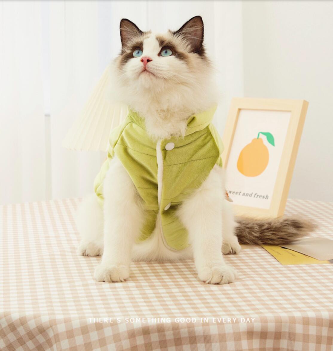 Cappotto per gatti