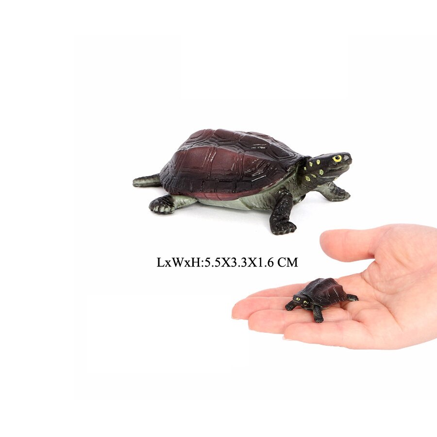 Realistische Plastic Zeeschildpad Levensechte Schildpadden Oceaan Dier Kleine Schildpad Beeldjes Voor Party Favor Decoratie Educatief Speelgoed: NO.18