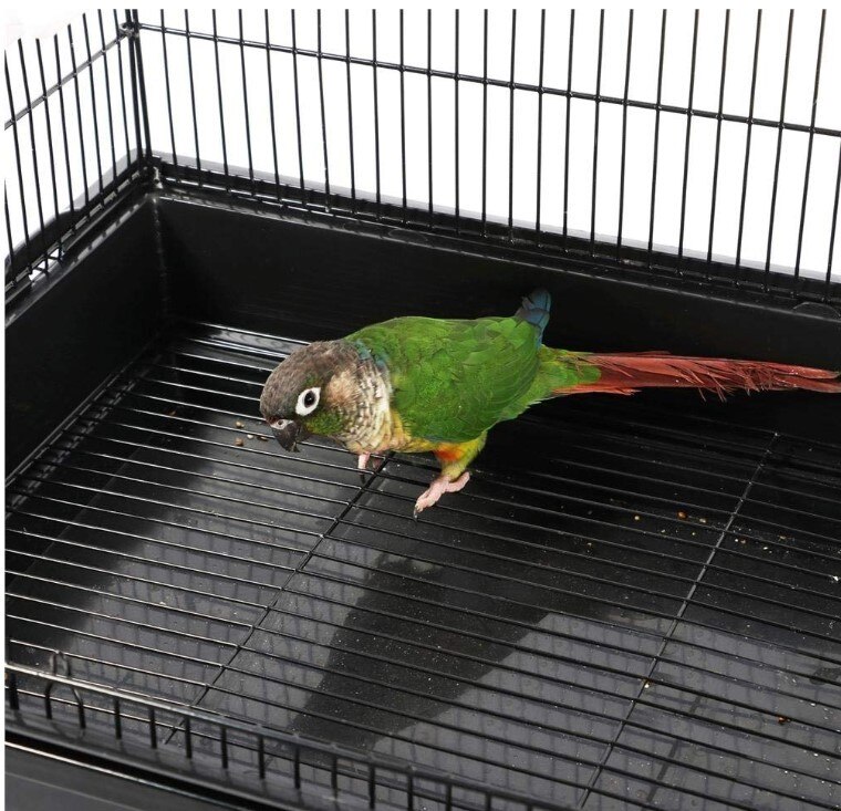 Moderne Vogelnest Vogelkooi Carbon Staal Ei Kooi Vogel Huis Outdoor Decoratieve Opknoping Parrot Nest Huizen Huisdier Vogels Slaapkamer hwc