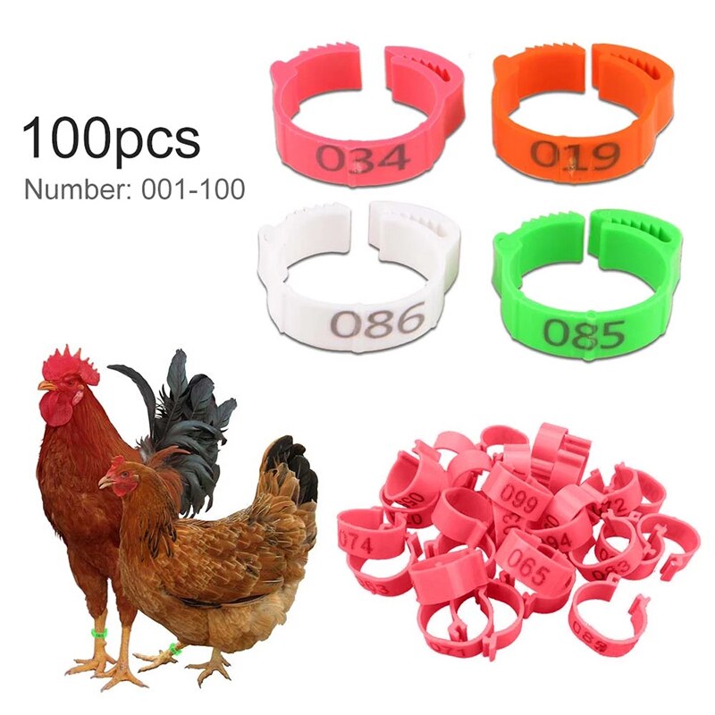 100pcs Chicken feet ring poultry legs without digital label buckle plastic duck and goose farm equipment adjustable size