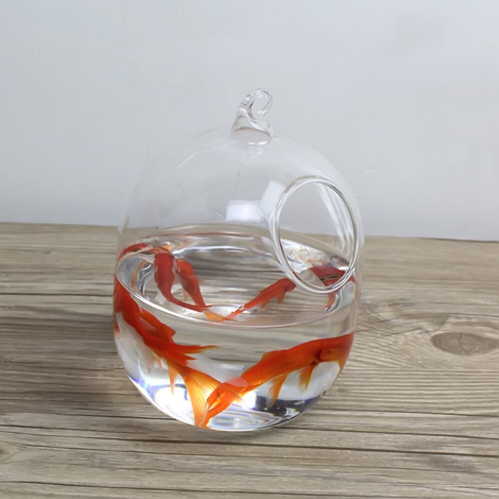 Behokic Clear 12cm Height Hanging Glass Aquarium Fish Bowl Fish Tank Flower Plant Vase with 23cm Height White Rack Fishbowls