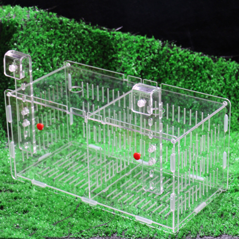 Acryl Fisch-Trennbox Für Aquarium | 30x10x10cm Zucht-Isolationsbox | Mit Saugnäpfen & Isolierplatte