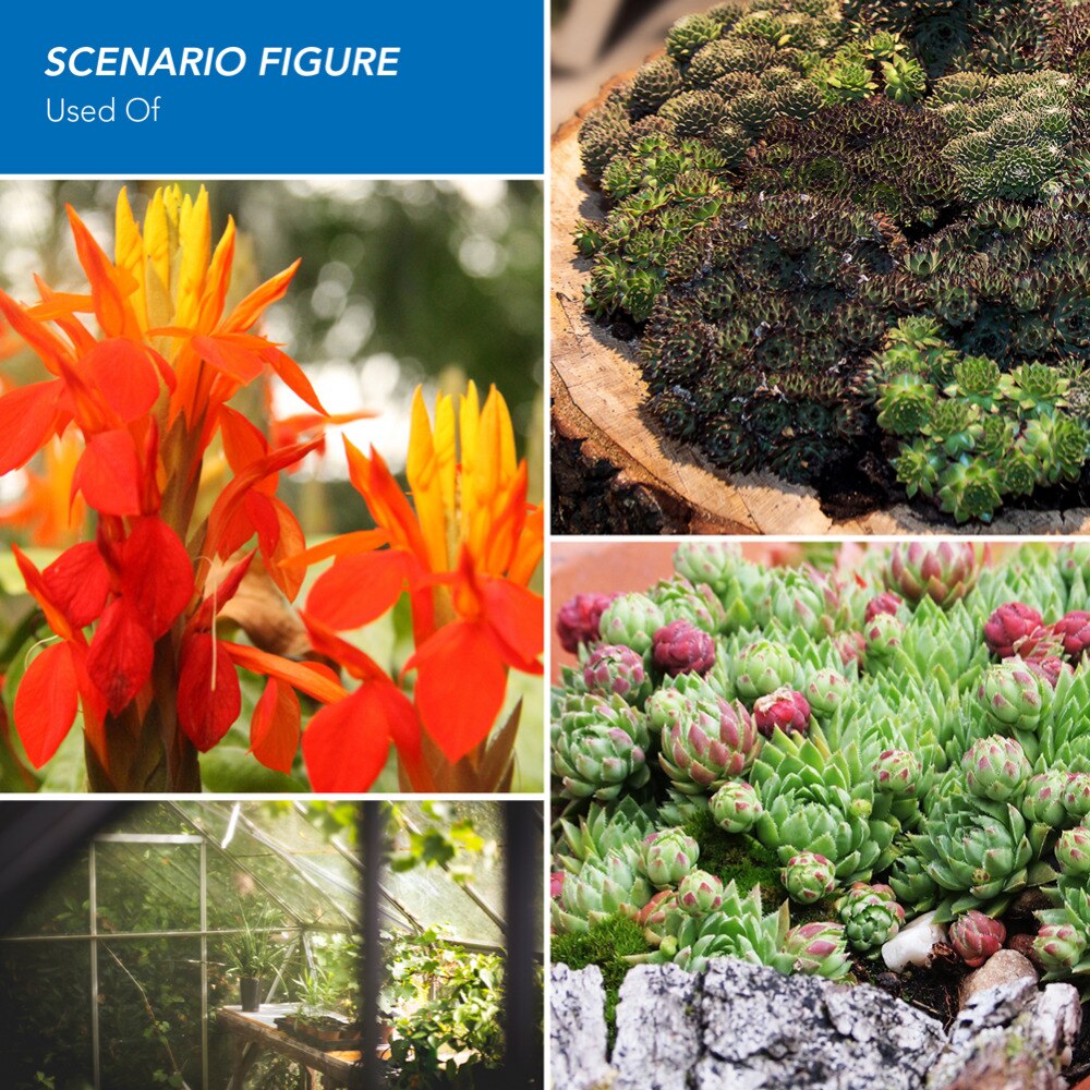 GU5.3 Led Fitolampy 85-265V Groeien Lamp E14 Uv Ir Grow Lamp Led E27 Plant Licht Voor Zaailing groenten B22 Cultivo Indoor GU10