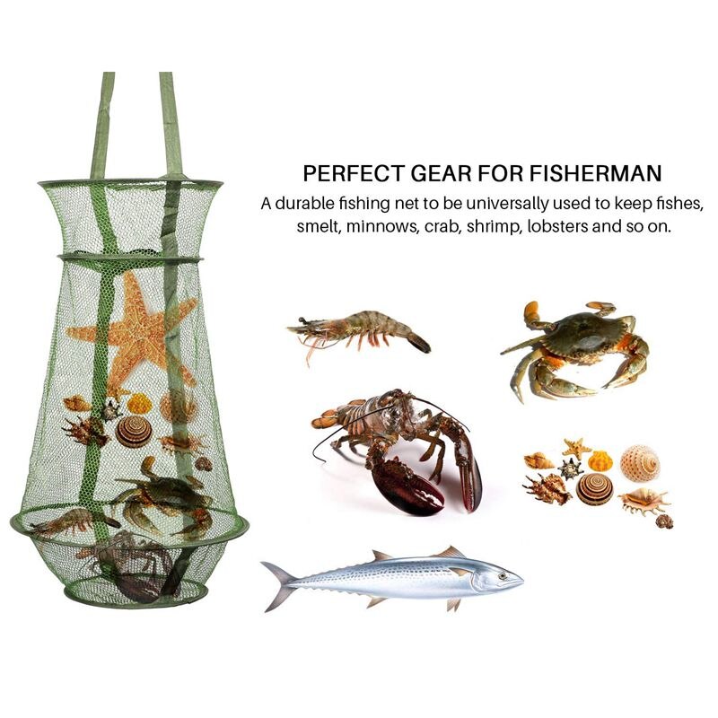 Fishing Net Mesh Fish Trap Collapsible Fish Cage/Fishing Keep Net/Fishing Basket for Keeping Lures Crayfish Crab Fishes Smelt Mi