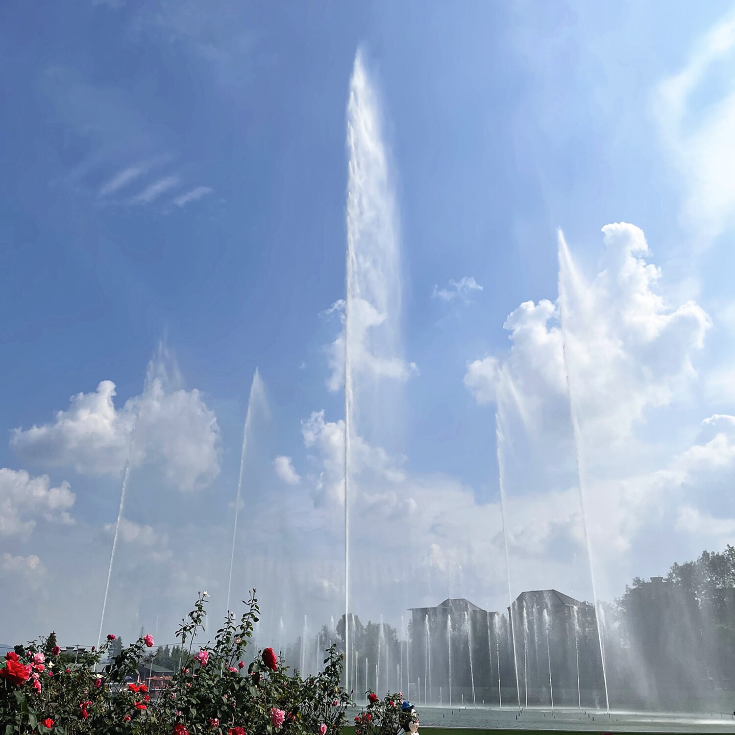 1/2" 3/4" 1" 304 Stainless Steel Fountain Nozzles Garden Pond Jet Straight Outdoor Water Spray Head