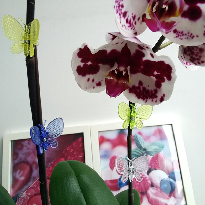 10 stk plast vin fix klip farverig sommerfugl guldsmede formet plante blomst podning fixering klip have forsyninger