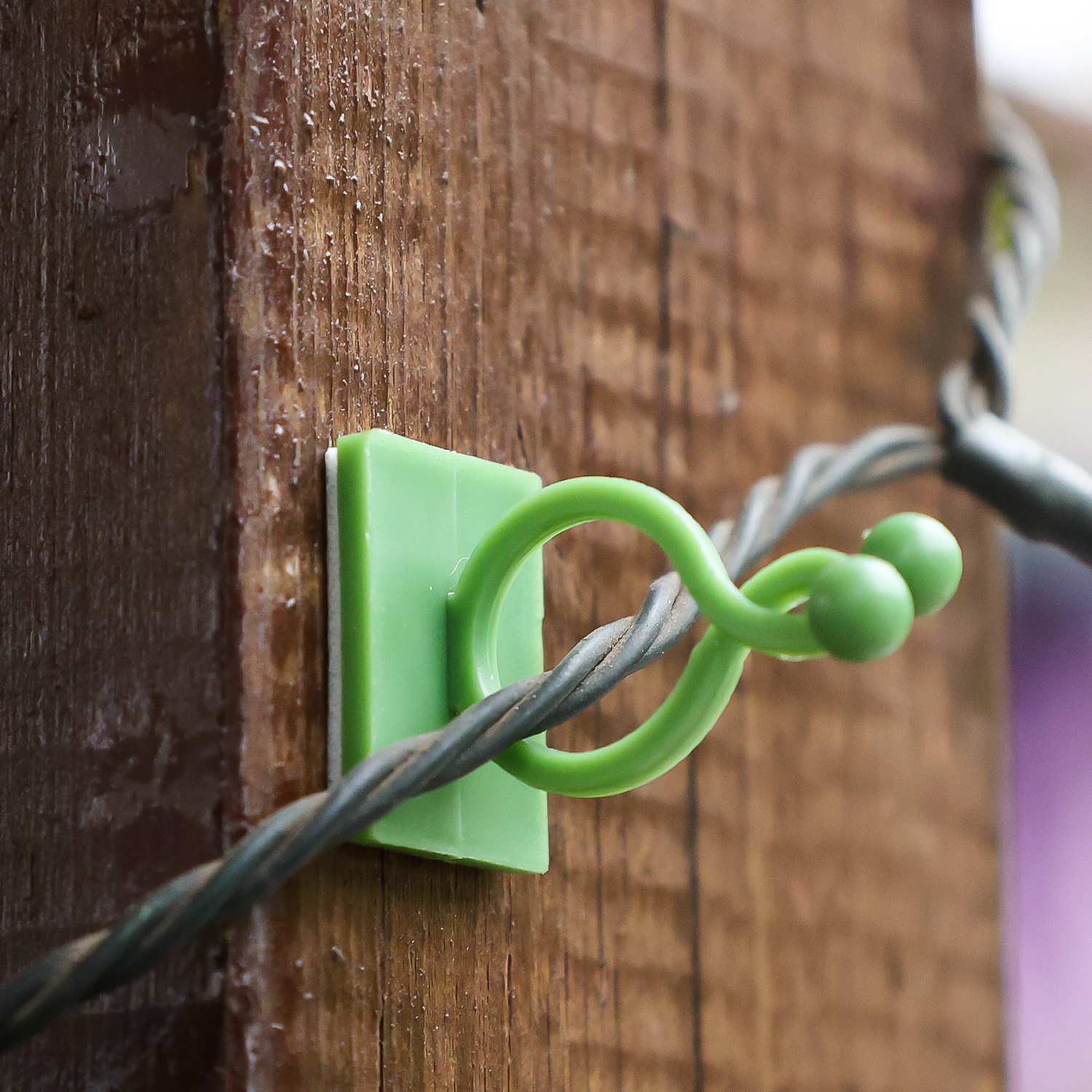 Clips de soporte para plantas de jardín, lazos para flores de orquídeas trepadoras, enredadera de tomate, accesorio de pared autoadhesivo Invisible de plástico, gancho de encuadernación