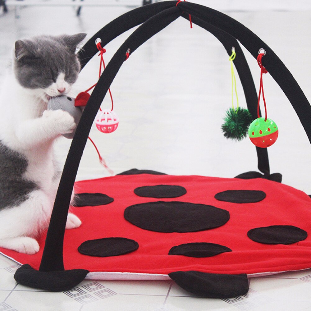Play Foldable Shape Cat Supplies House Furniture Comfortable Hanging Funny Training Removable Pet Bed Toy