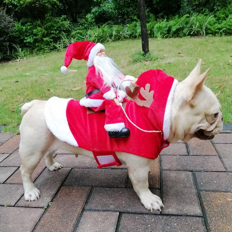 Costumi natalizi per cani da compagnia costumi divertenti costume da babbo natale per cani gatti novità vestiti per cani chihuahua carlino york abbigliamento