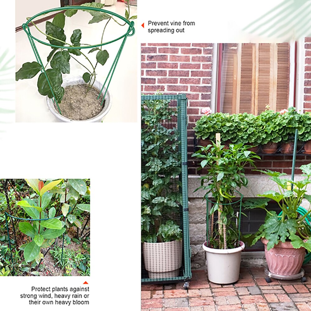 Support circulaire pour plantes de jardin | 2 pièces, Supports de Support circulaire pour plantes de jardin, Cage pour fleurs de roses, fournitures de jardin