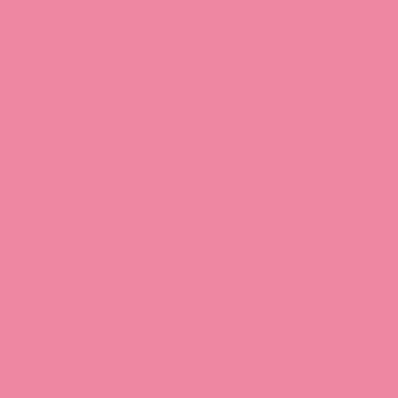 Selens 2X3M Photography Background Photo Studio Green Screen ChromaKey Backdrops Non Woven Shoot Backdrop For Studio Photo light: Pink