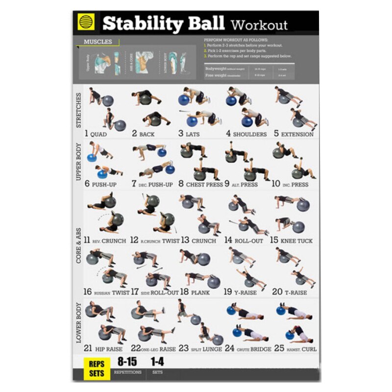 Yoga Ball Workout Exercise Poster Stability Ball Exercise Workout Poster for Bodyweight Home Fitness