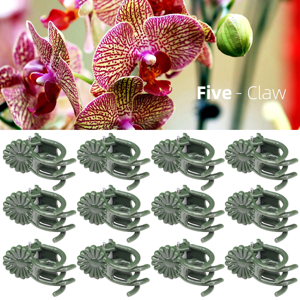 20-50Stck 5-Klaue dunkel GrüNe Pflanze Orchidee Clips Garten Unterstützung Befestigung Kunststoff Klemme Pfropfen Klettern Reben vorbauten Wachsen Aufrecht