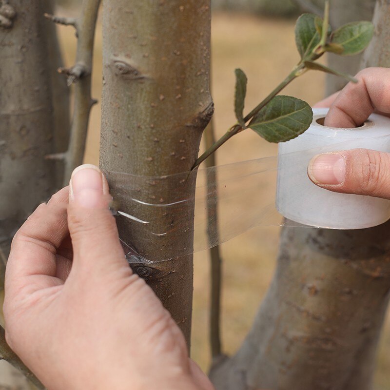 Cinta adhesiva para injertos de árboles frutales, cinta de amarre para jardinería, accesorios para injertos, 3/5CM x 150M