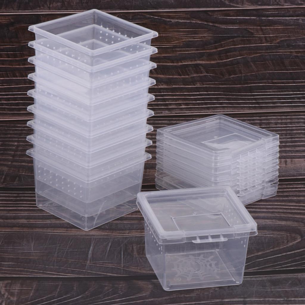 10 Pieces Plastic Reptiles Living Box Transparent Reptile Terrarium Habitat Spider Snake Transport Breeding Feeding Case