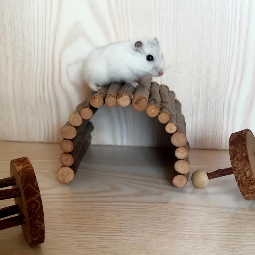 Tee itse omenapuu puinen kaarisilta hamsteri väistelee tunnelia hamsteri poskilelu lemmikkikaniinille marsu pienet eläimet tarvikkeita 20e