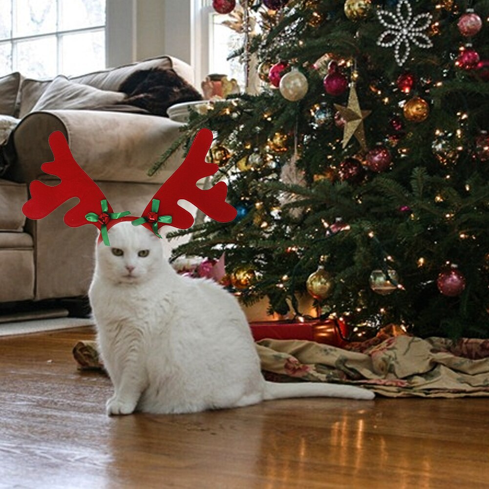 Elg rensdyr gevir kæledyr leverer kort plys hovedbeklædning udendørs katte fest justerbar hund pandebånd jul kostume elastisk