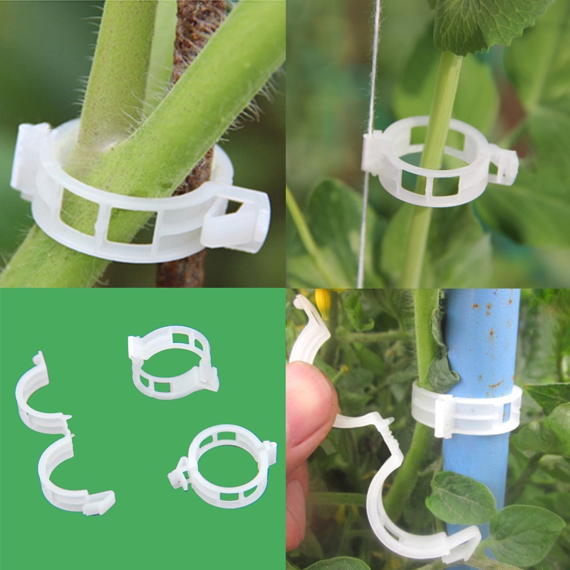50/100 stk gjenbrukbare plast gjerder espalier porter planter hengende vintreet plante støtte klips hage drivhus hage ornament