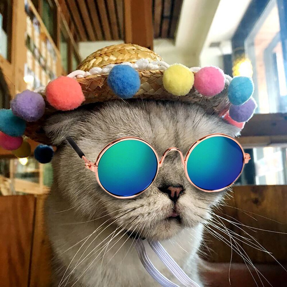 Katt kjæledyr briller til kjæledyr produkter briller dyre solbriller bilder rekvisitter tilbehør kjæledyr utstyr katt briller 1pc #5