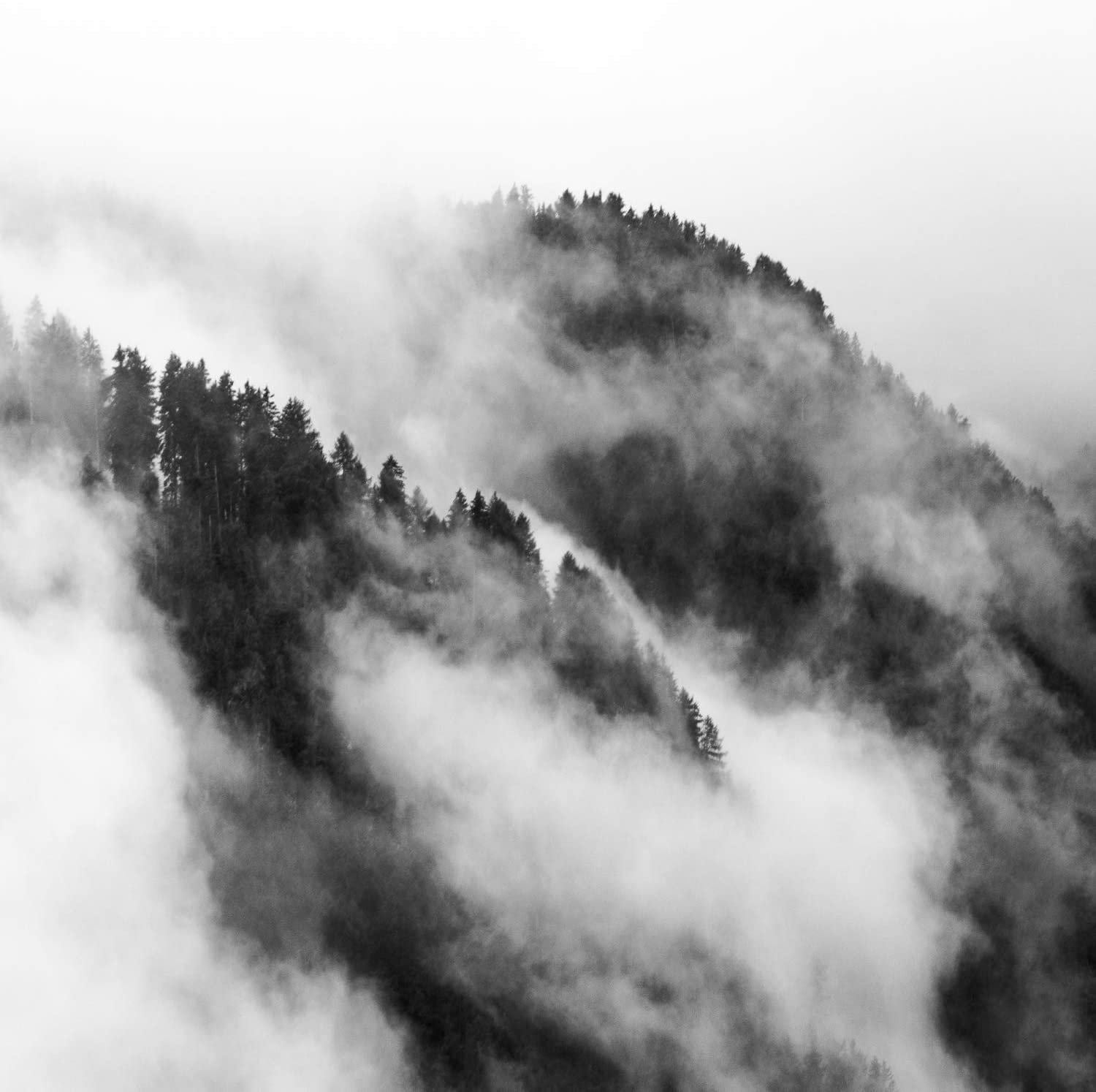 Misty Forest Mountain Black White Tapestry Wall Hanging Fantastic Fog Magical Tree 3D Vision Nature Landscape Blanket Farmhouse: 150X130CM