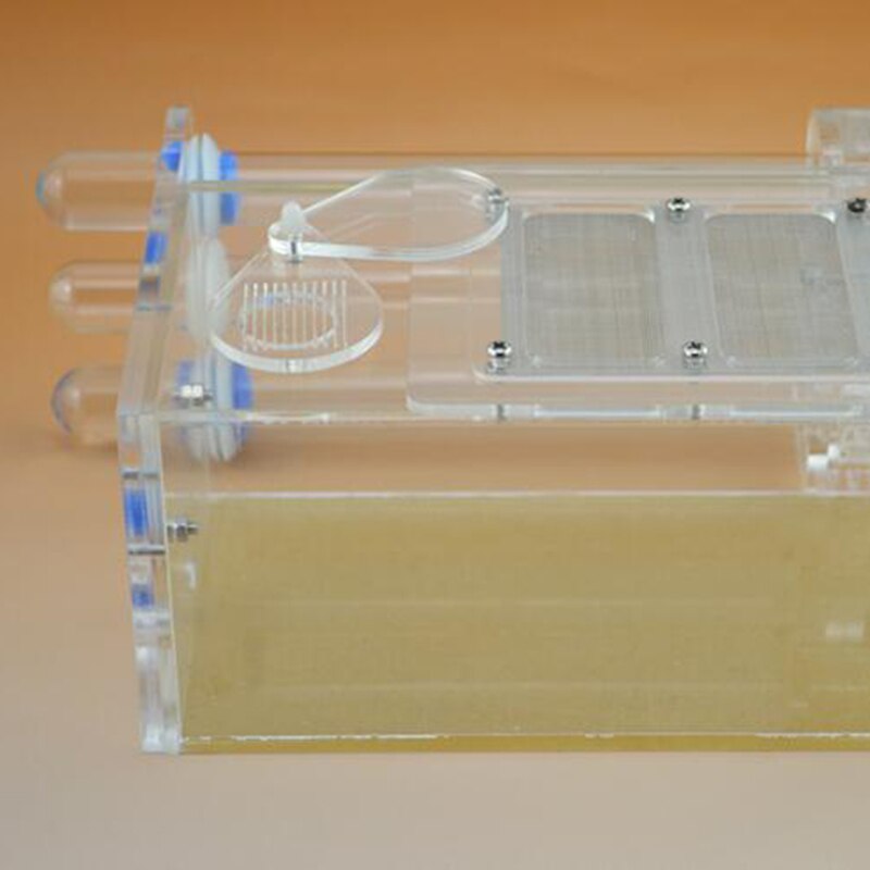 Ant Test Tube Nest Acrylic Ants Farm House Three Test Tube Nest Small Colony Rearing Anthill Ant Insect Terrarium