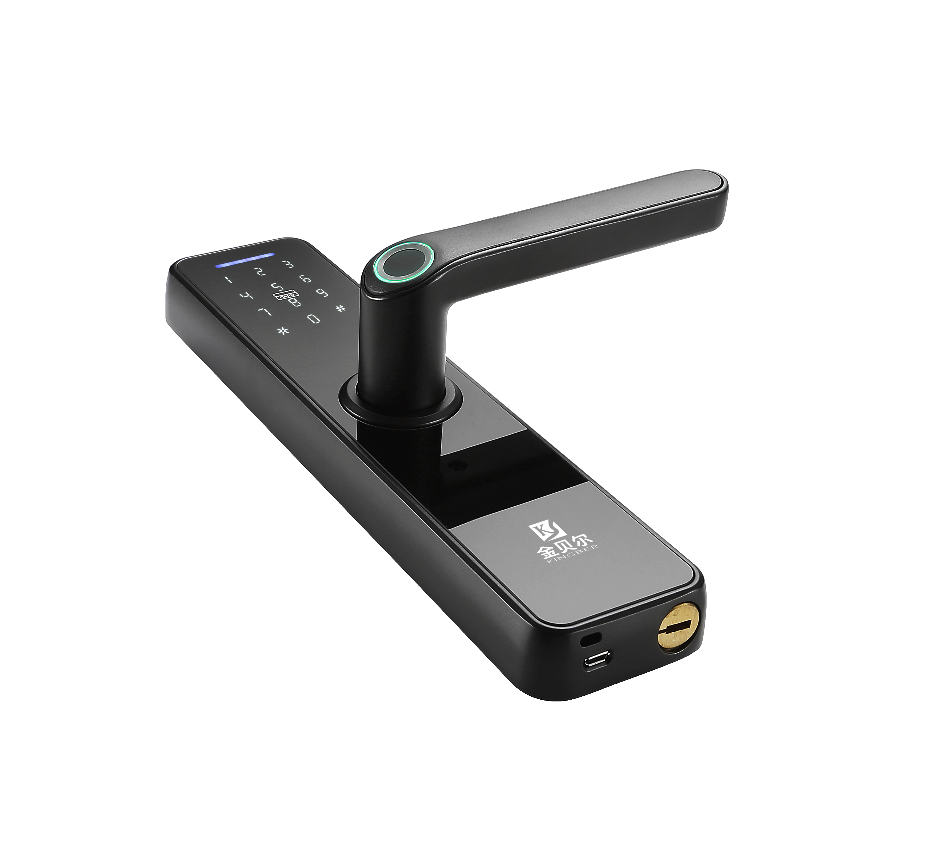 Tuya wifi tt bluetooth app biometrisk fingeraftryk rfid smart digital dørlås