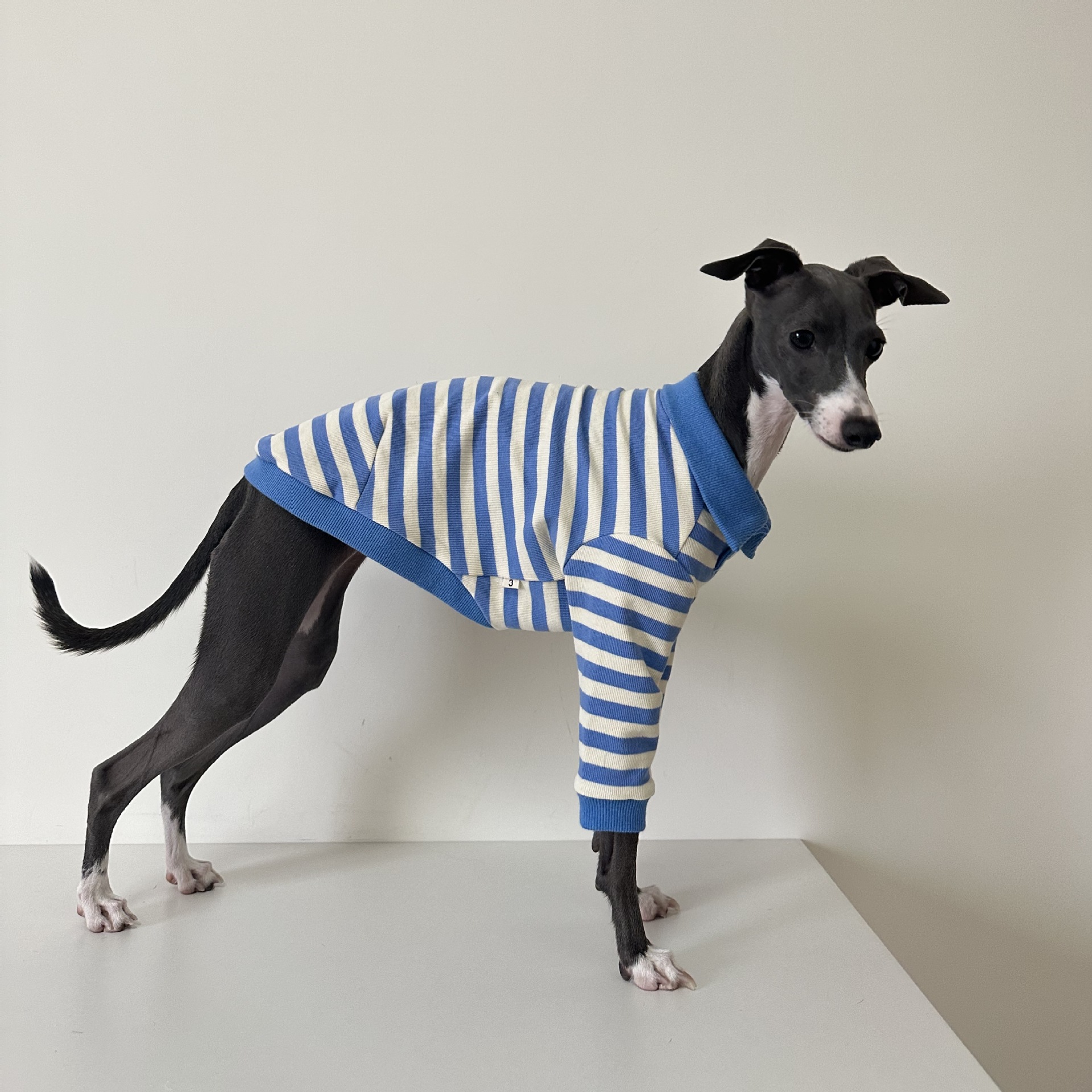 Camisa polo para animais de estimação tecido de algodão puro estiramento galgo italiano Whippet Bedlington Terrier roupas para cães