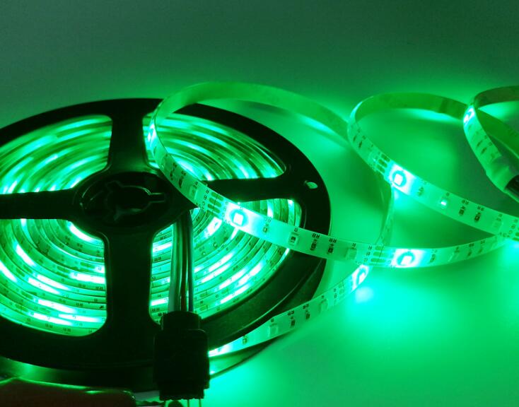 5M 300Leds nonwaterproof RGB Led Strip Light 3528 5050 DC12V 60Leds/M Fiexble Light Led Ribbon Tape Home Decoration Lamp: Green / 600led  5 meter