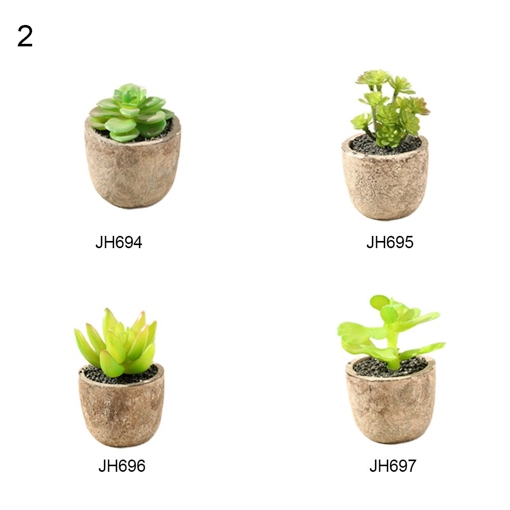 4Pcs/Set Simulation Succulent Plants Artificial Potted Plant Indoor Ornaments: 2