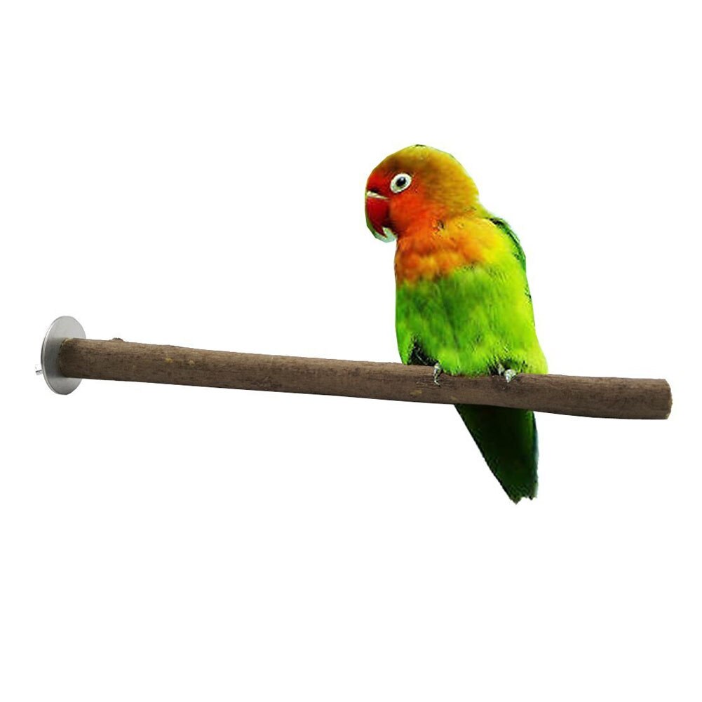 Ridser parakit gren bur tilbehør praktisk fugl legetøj tyggepote slibestativ stok kæledyrsforsyning træ papegøje aborre