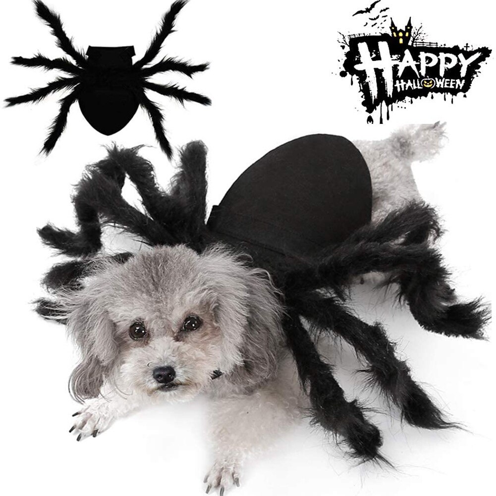 Halloween edderkop tøj til kæledyr hund kat edderkopp kostumer udklædning kæledyr tøj kæledyr halloween rekvisitter tilbehør til festtøj